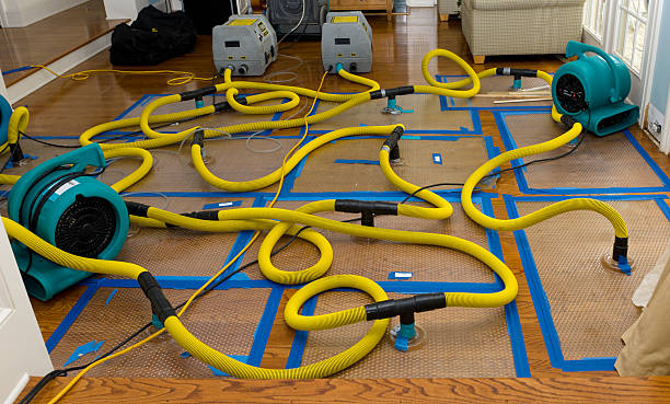Professional Water Damage Repair technician working in Berne, NY